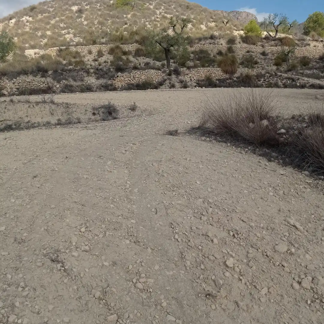 Terrain rustique à vendre à Hondón de las Nieves / El Fondó de les Neus, imagen 13
