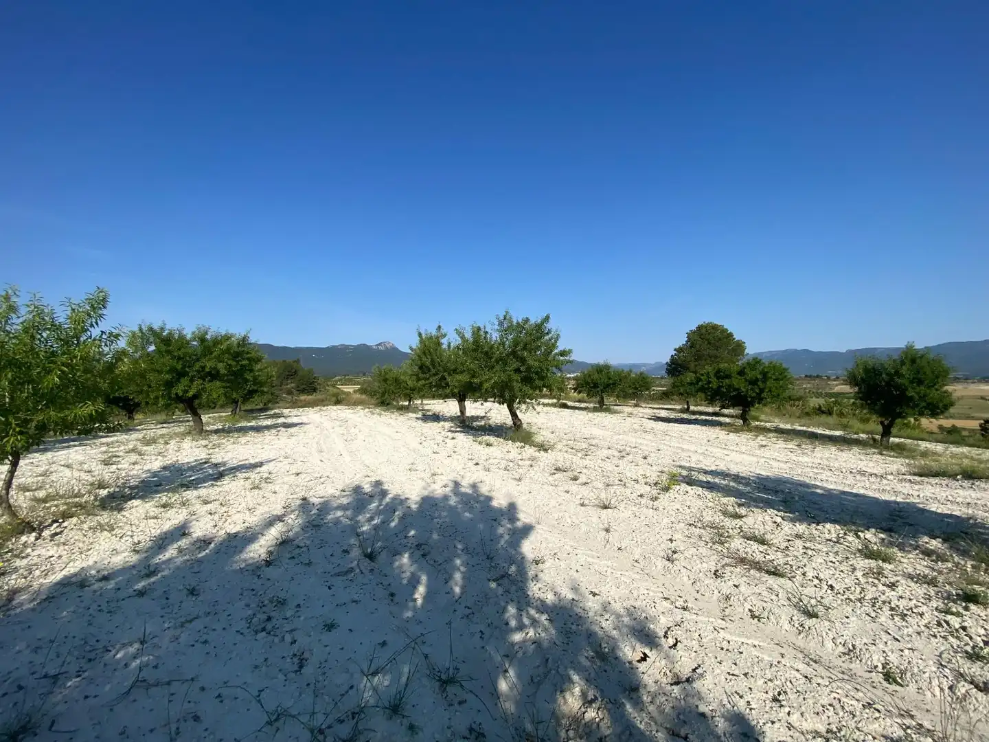 Villa à vendre à Moratalla, imagen 86