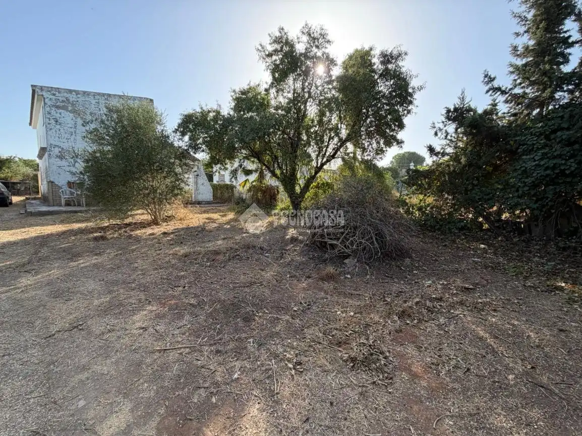 Casa rústica en venta en Coria del Río, imagen 33