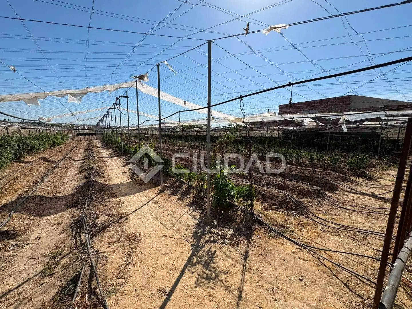 Terreno en venta en Sanlúcar de Barrameda