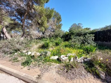 Wohnbaugrundstück zum Verkauf in La Granadella  - Costa Nova
