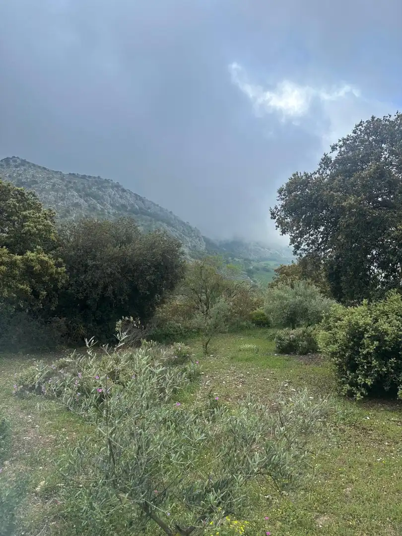 Terreni e lotti in vendita a Alfarnate, imagen 63