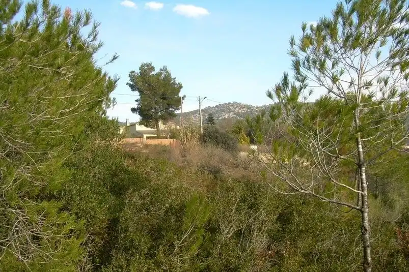 Terreny residencial en venda a Avinyonet del Penedès, imagen 4