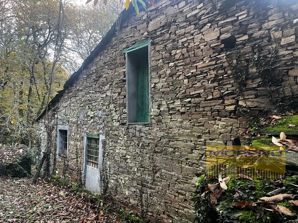 Vista exterior de Finca rústica en venta en O Incio 