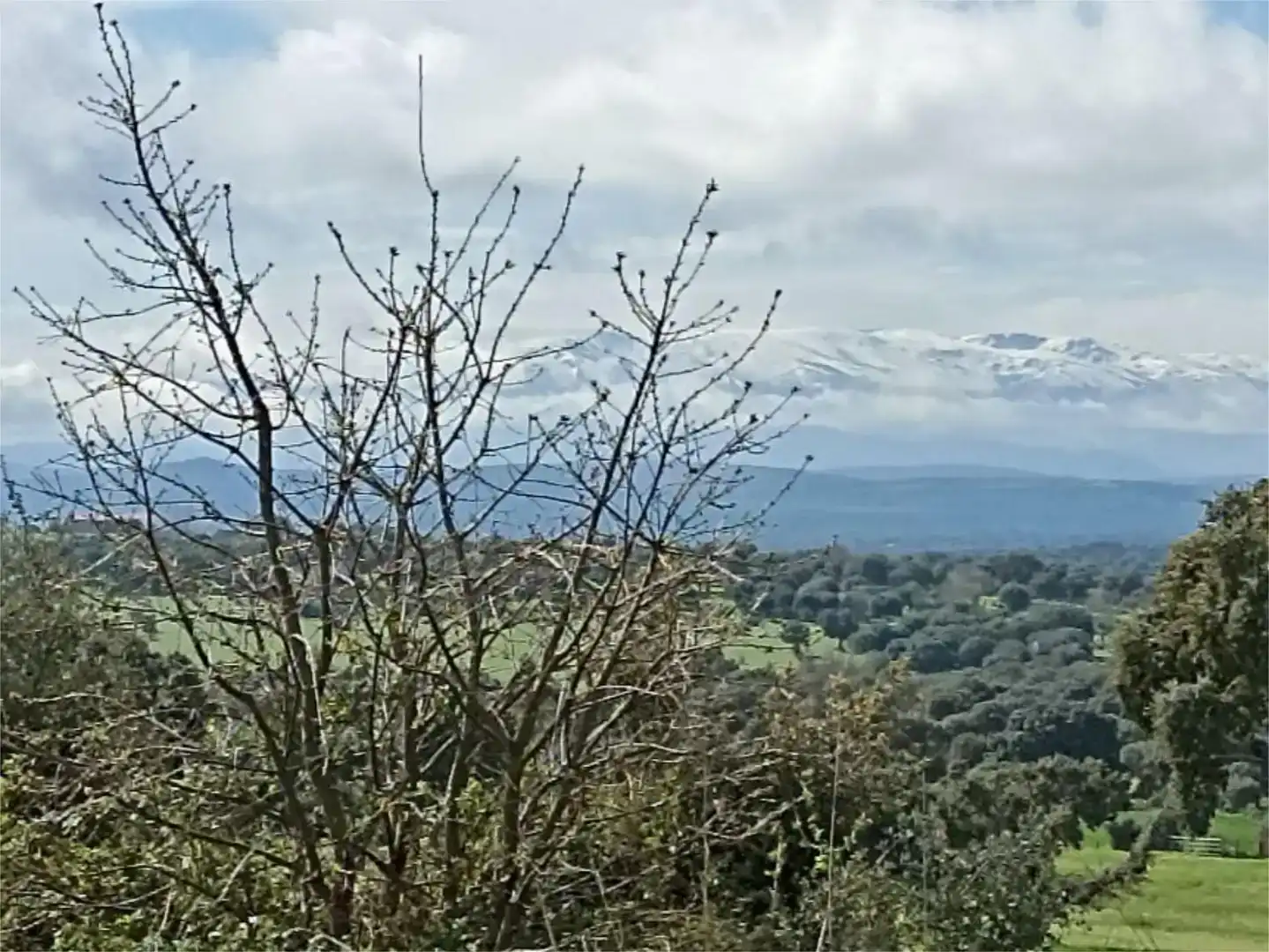 Planta baja en venta en Membribe de la Sierra con Amueblado