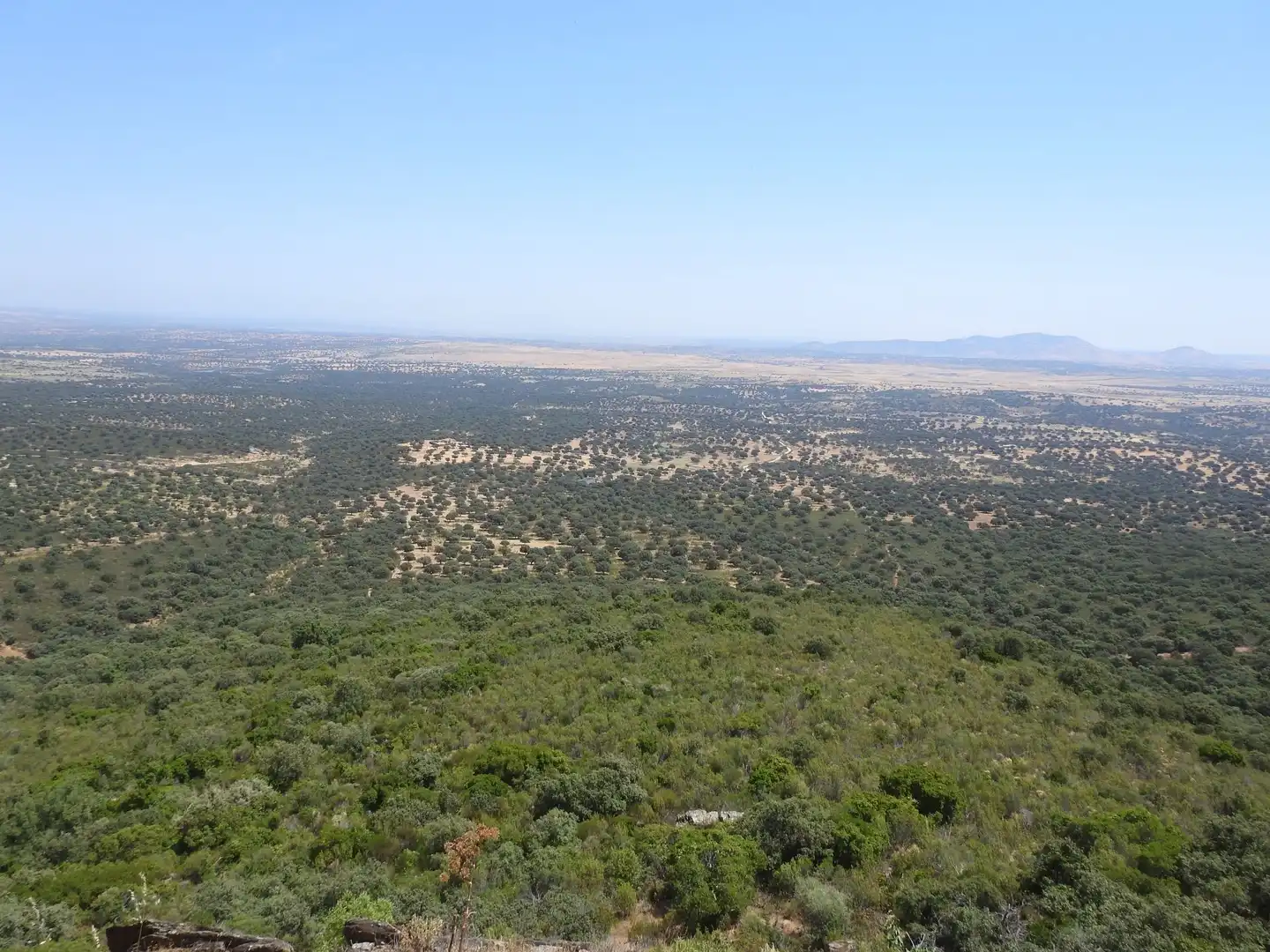 Terreni e lotti in vendita a Villar del Pedroso, imagen 7