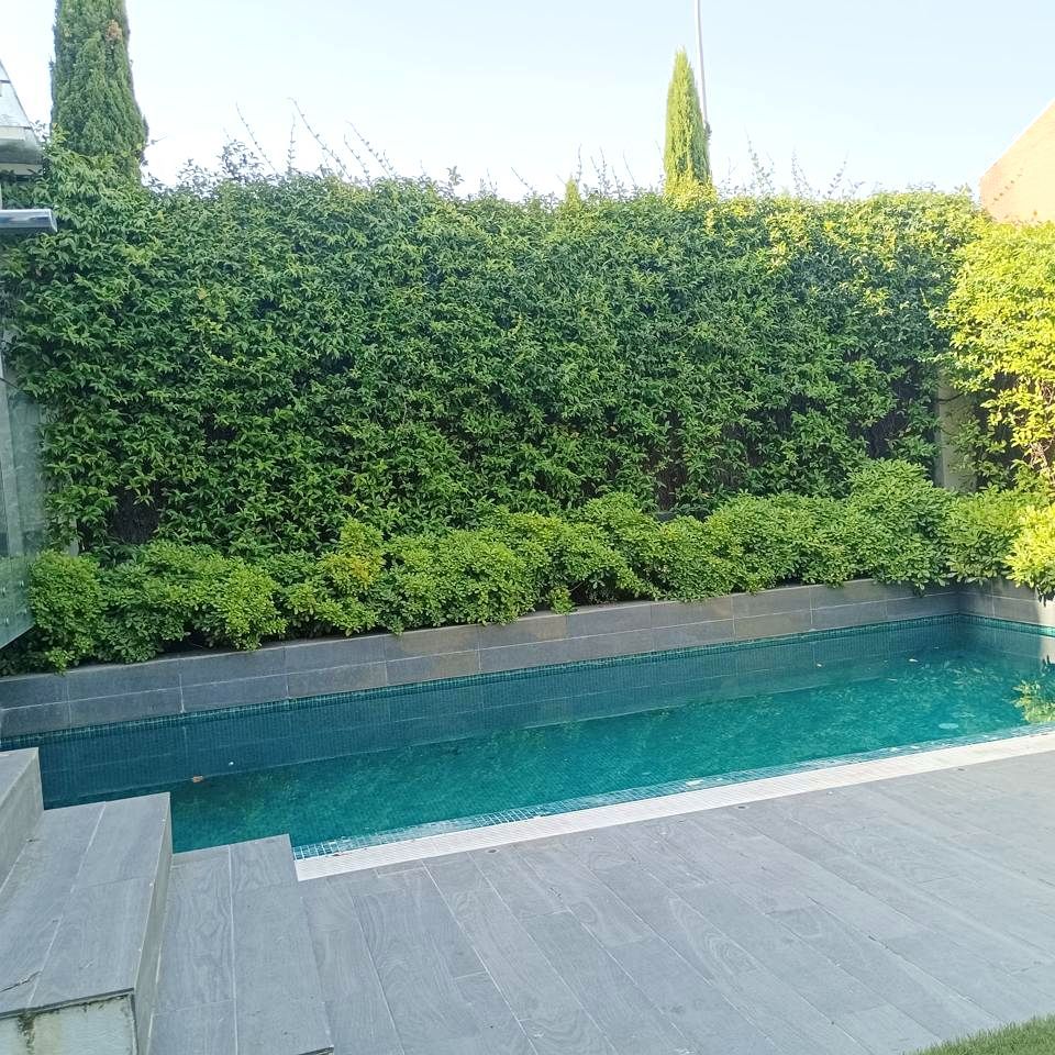 Swimming pool of Single-family semi-detached to rent in  Madrid Capital  with Air Conditioner, Heating and Private garden