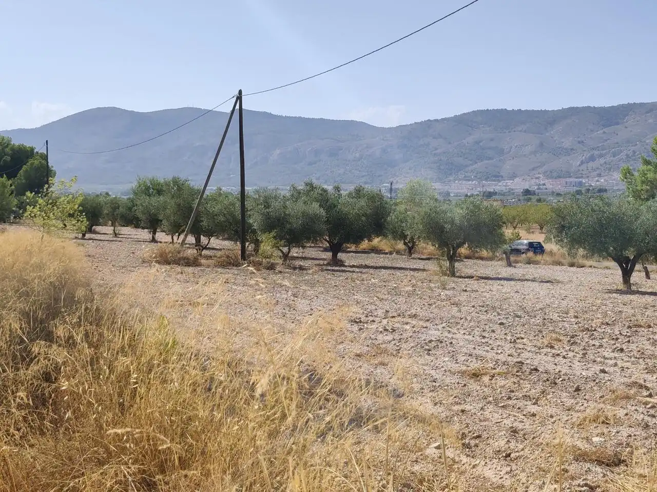 Terreno rustico in vendita a Castalla, imagen 7