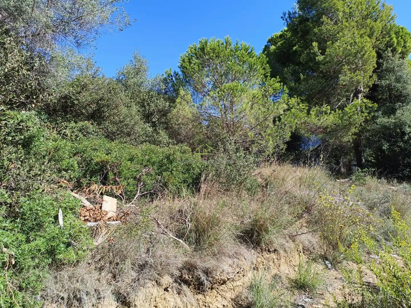 Terrenys i solars en venda a Platja d'Aro, imagen 4