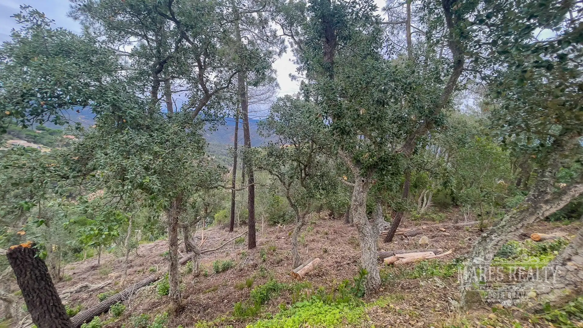 Lands and plots for sale in Serra Brava, imagen 7