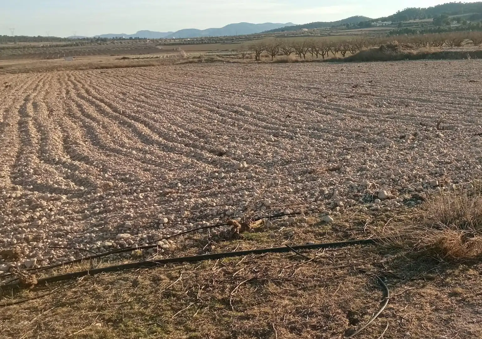 Rustikales Grundstück zum Verkauf in Salinas, imagen 2