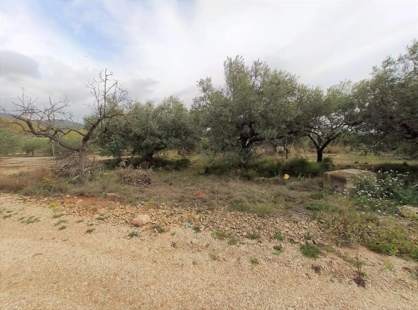 Terrain rustique à vendre à Alcanar, imagen 4