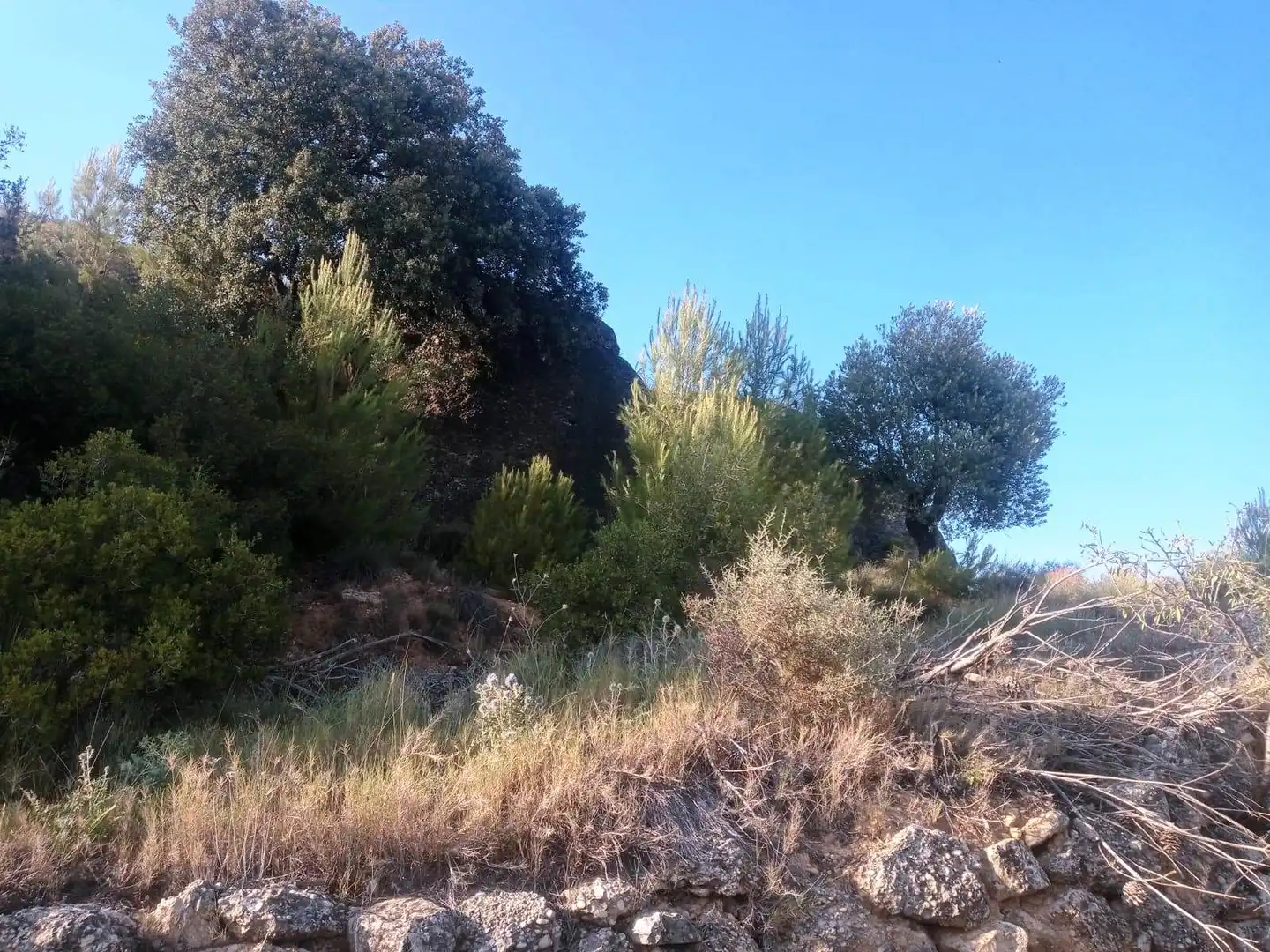 Terreni e lotti in vendita a Monroyo, imagen 3