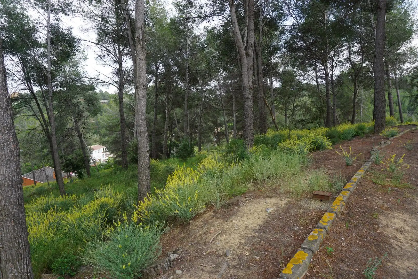 Terreno residenziale in vendita a Calle Ferreteries, imagen 29