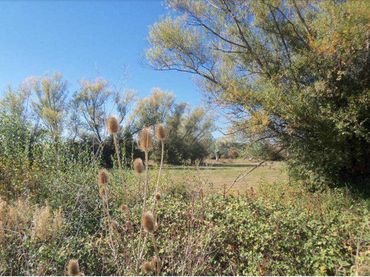 Terreno rustico in vendita a San Mamés - La Palomera