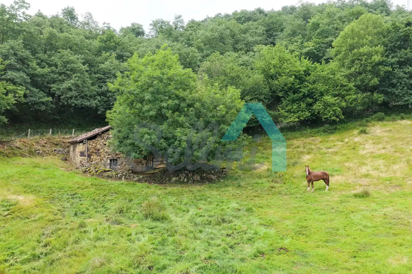 Land for sale in Proaza