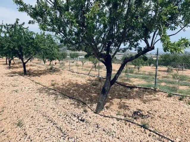 Terreny residencial en venda a La Romana, imagen 8