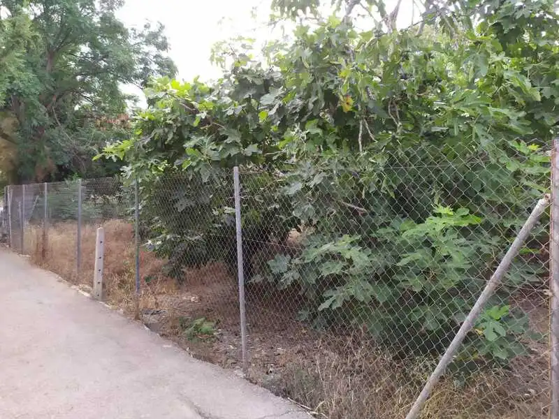 Terrenys i solars en venda a Carril Torre Ibañez, imagen 8