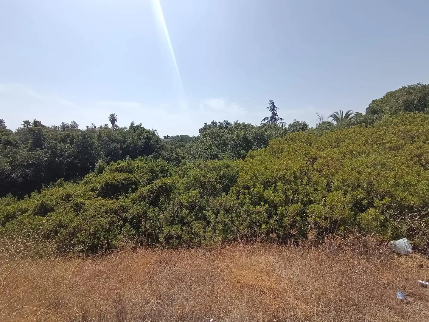 Lands and plots for sale in Periurbano Norte, imagen 2