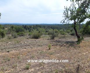 Terreny en venda en Calaceite