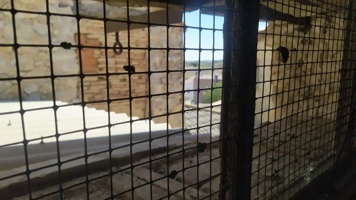 Houses for sale in Mahora  with Terrace and Storage room