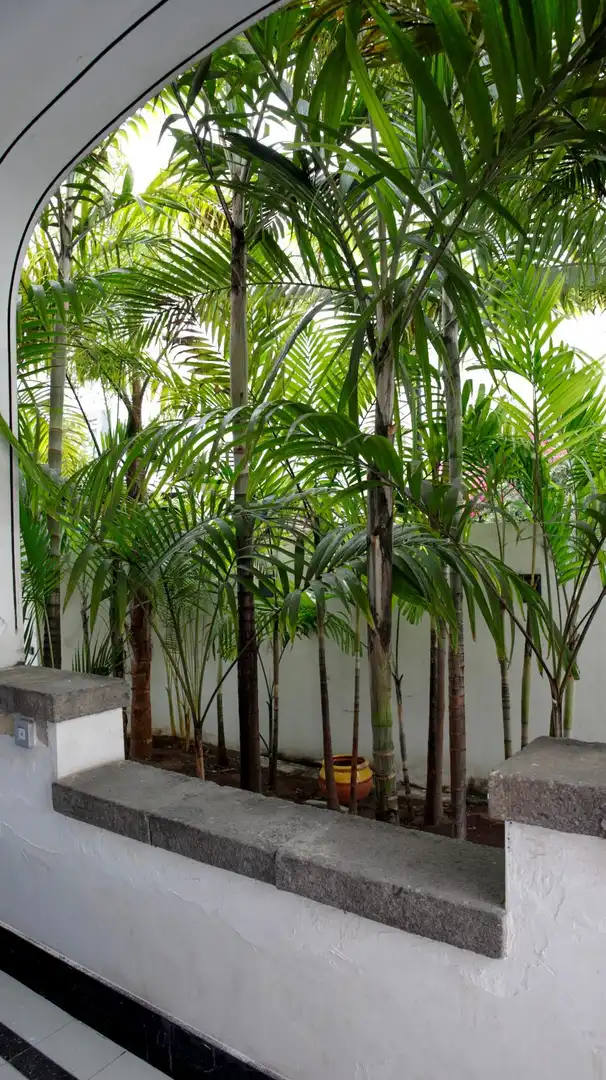 Garden of Houses for rent in Las Palmas de Gran Canaria  with Air Conditioner, Terrace and Storage room
