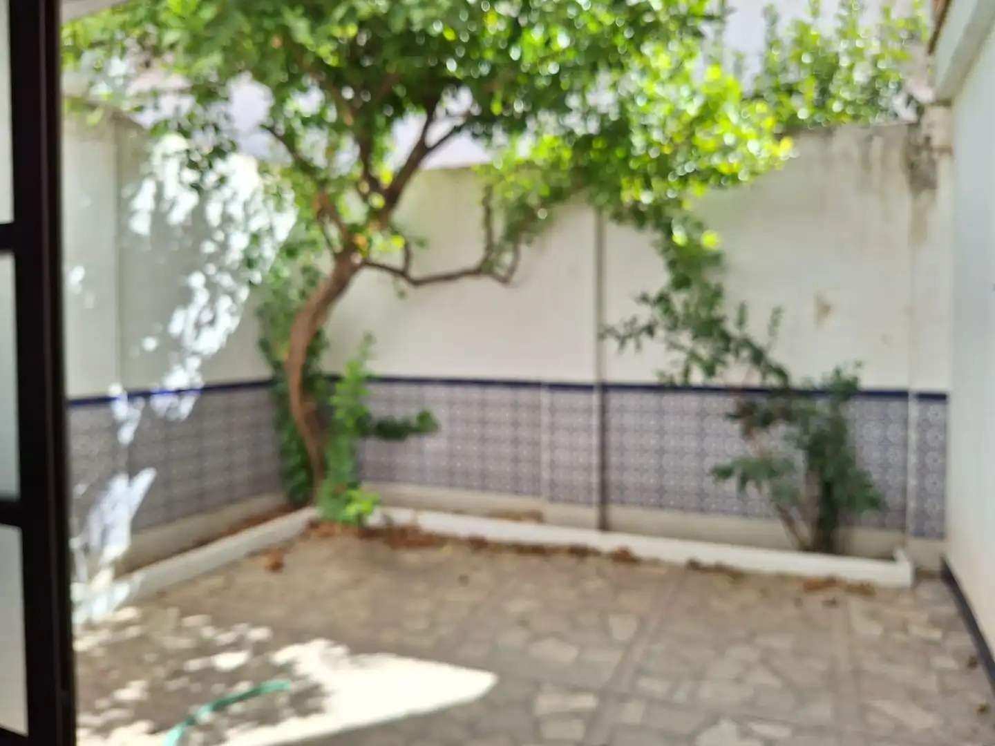 Business premises to rent in Avenida los Emigrantes, imagen 4