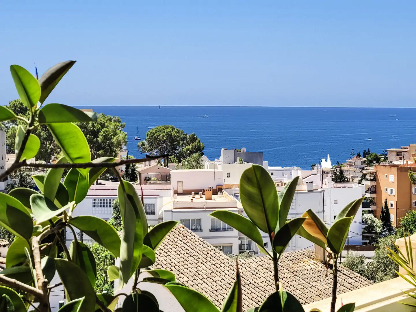 Finca rústica en venta en Sant Agustí
