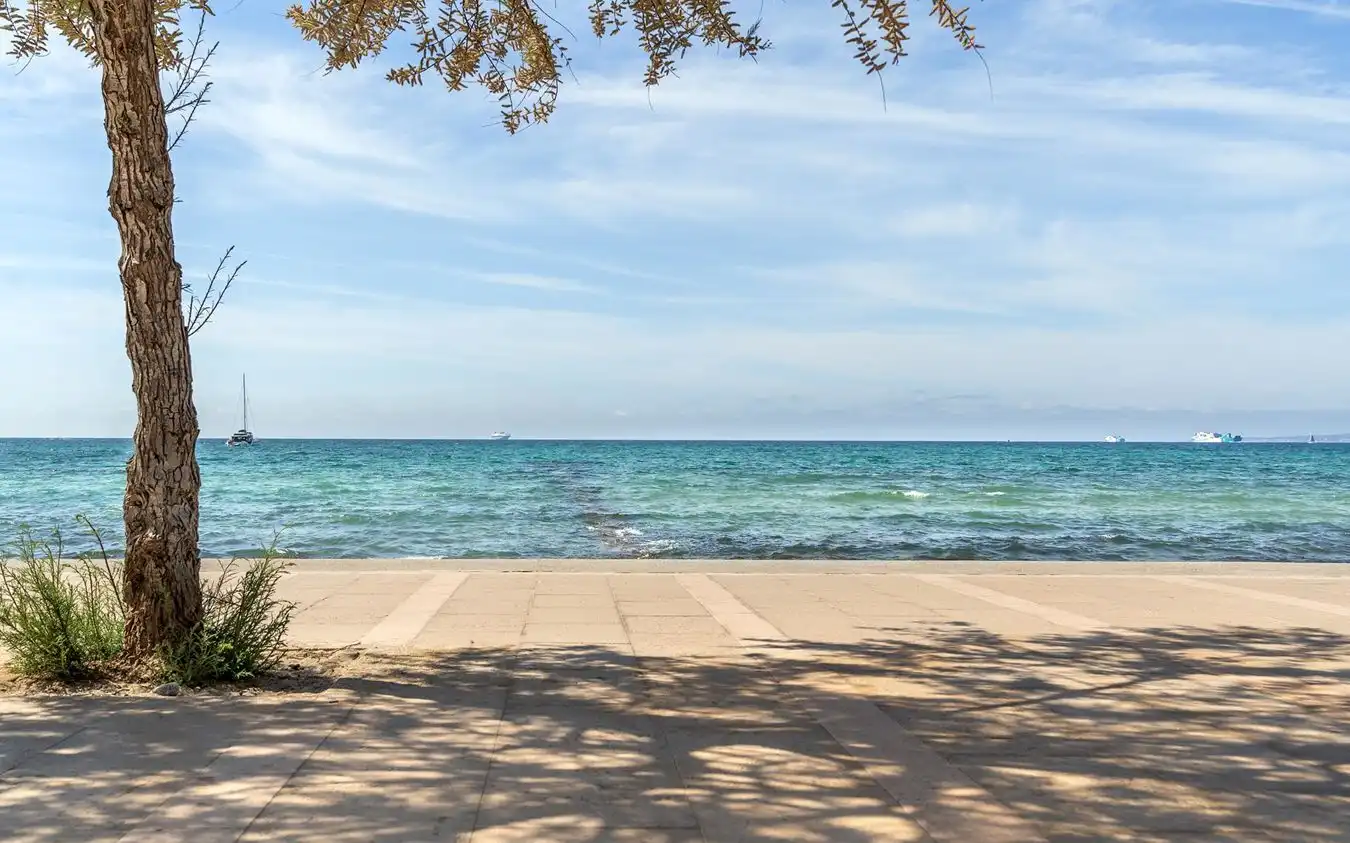 Terreni e lotti in vendita a Platja de Palma, imagen 7