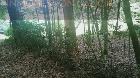 Foto 3 de Finca rústica en venda a Lugar Pedamua, Cerceda, A Coruña