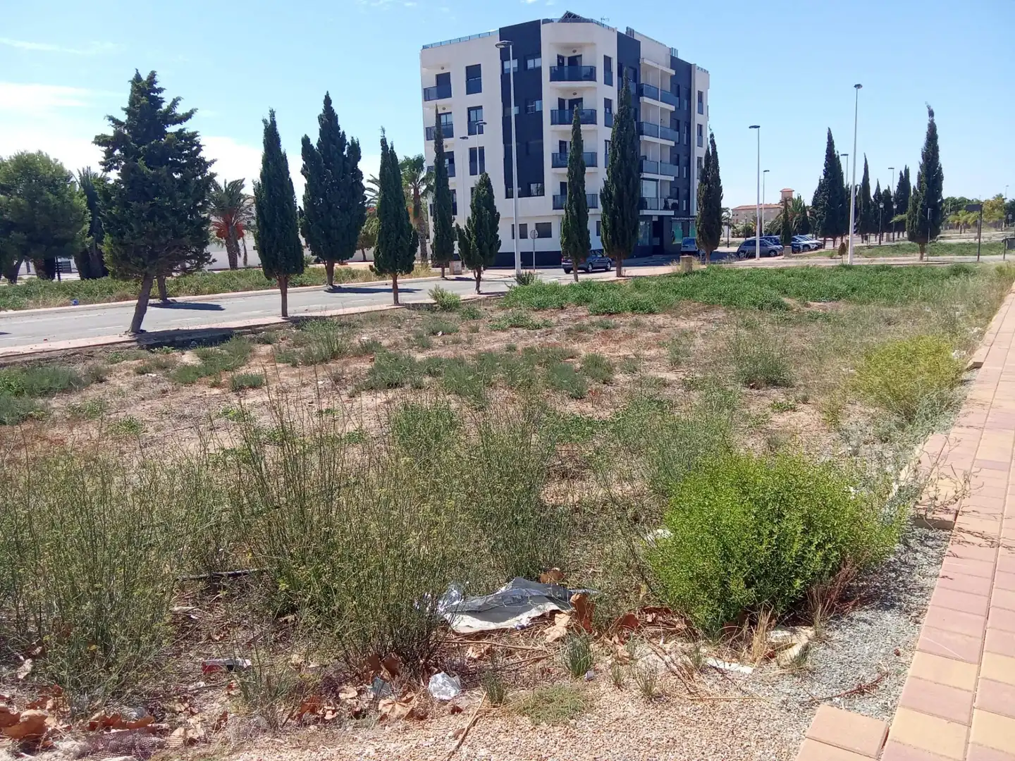 Terrenos y solares en venta en Lo Pagán, imagen 4