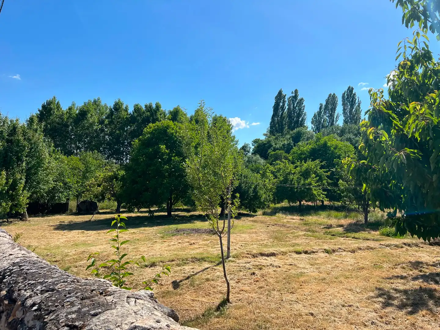Casa o xalet en venda en Olmos de Ojeda amb Calefacció, Jardí privat i Terrassa