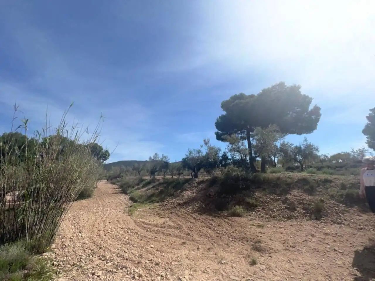 Chalet con jardín en venta en Calle Poligono, imagen 123