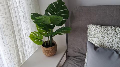 Photo 4 of Study to rent in Parque de la Paloma, Málaga