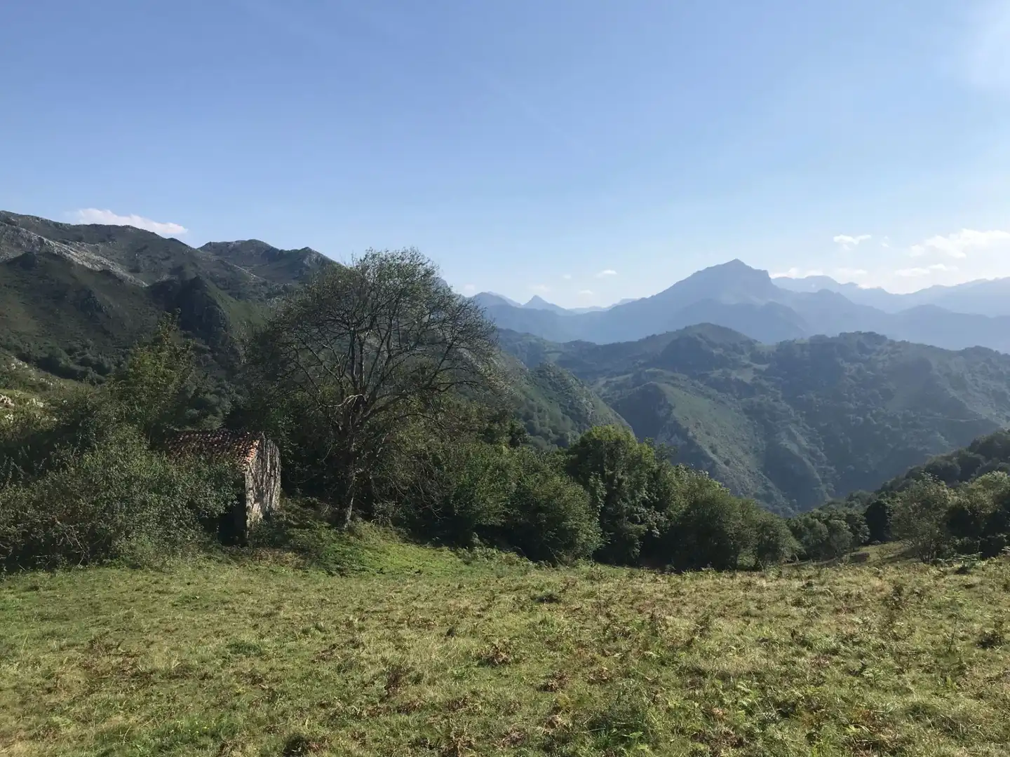 Terreno rustico in vendita a Cangas de Onís, imagen 6
