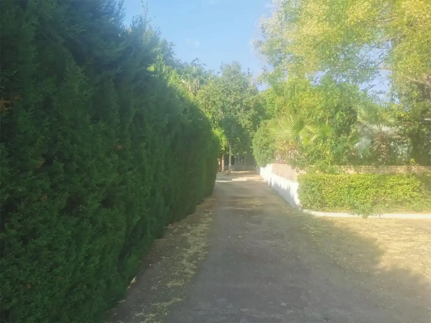 Vista exterior de Casa o xalet en venda en Canals amb Aire condicionat, Jardí privat i Parquet