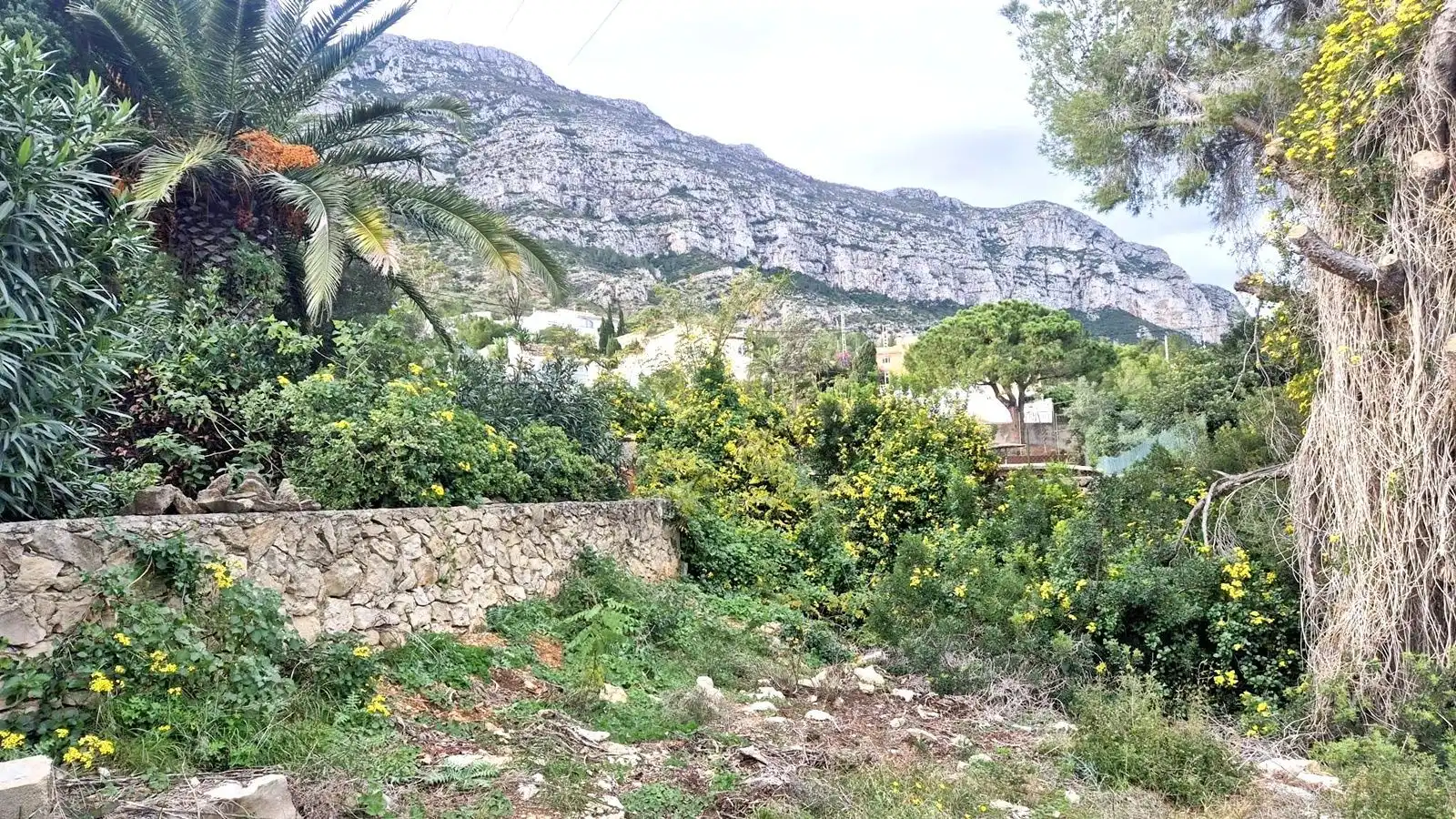 Terreni e lotti in vendita a Avellana, imagen 17