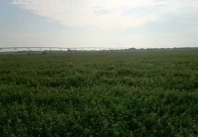 Terrenys i solars en venda a Quintanar de la Orden, imagen 4