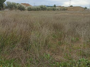 Terreno rustico in vendita a Totana