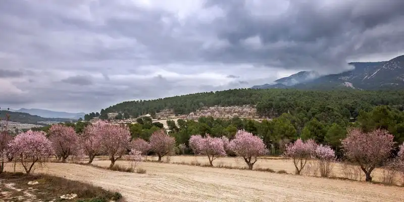 Exterior view of Country homes for sale in Alcoy / Alcoi  with Private garden and Terrace