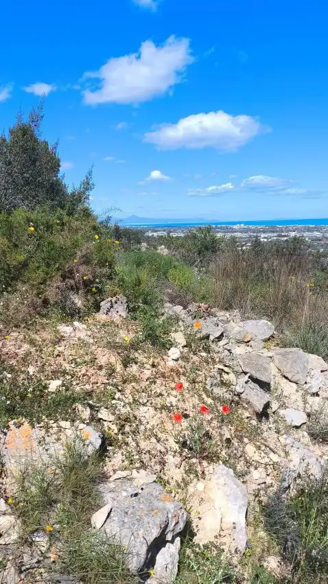 Villa con piscina in vendita a El Montgó, imagen 24