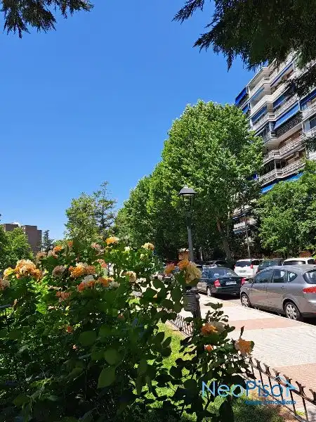Pis amb ascensor en venda a Parque Lisboa - La Paz, imagen 2