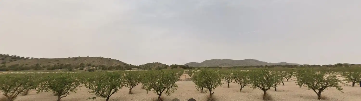 Terreni e lotti in vendita a Tobarra