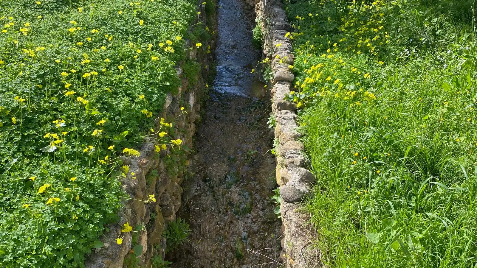Terreni e lotti in vendita a Alquería - Torrealquería, imagen 5