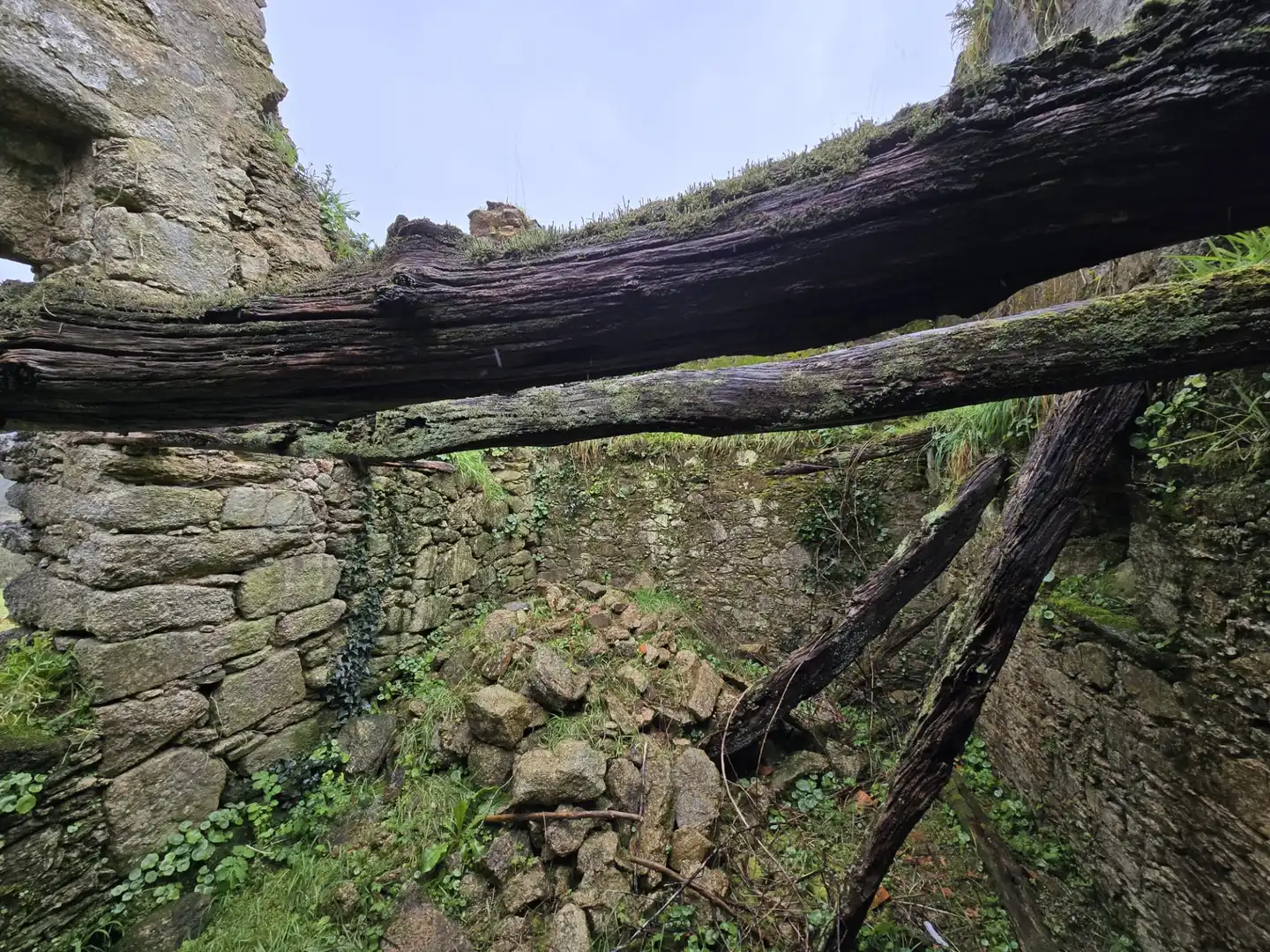 Jardí de Finca rústica en venda en Cerceda amb Jardí privat