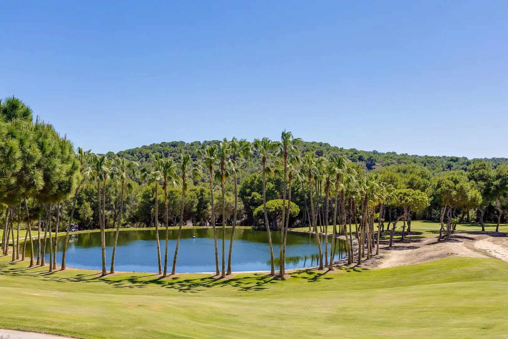 Mini appartamento con terrazza in affitto a Campo de Golf Lomas de Campoamor, imagen 93