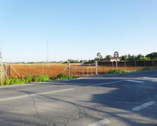 Terreny en venda en Sanlúcar la Mayor