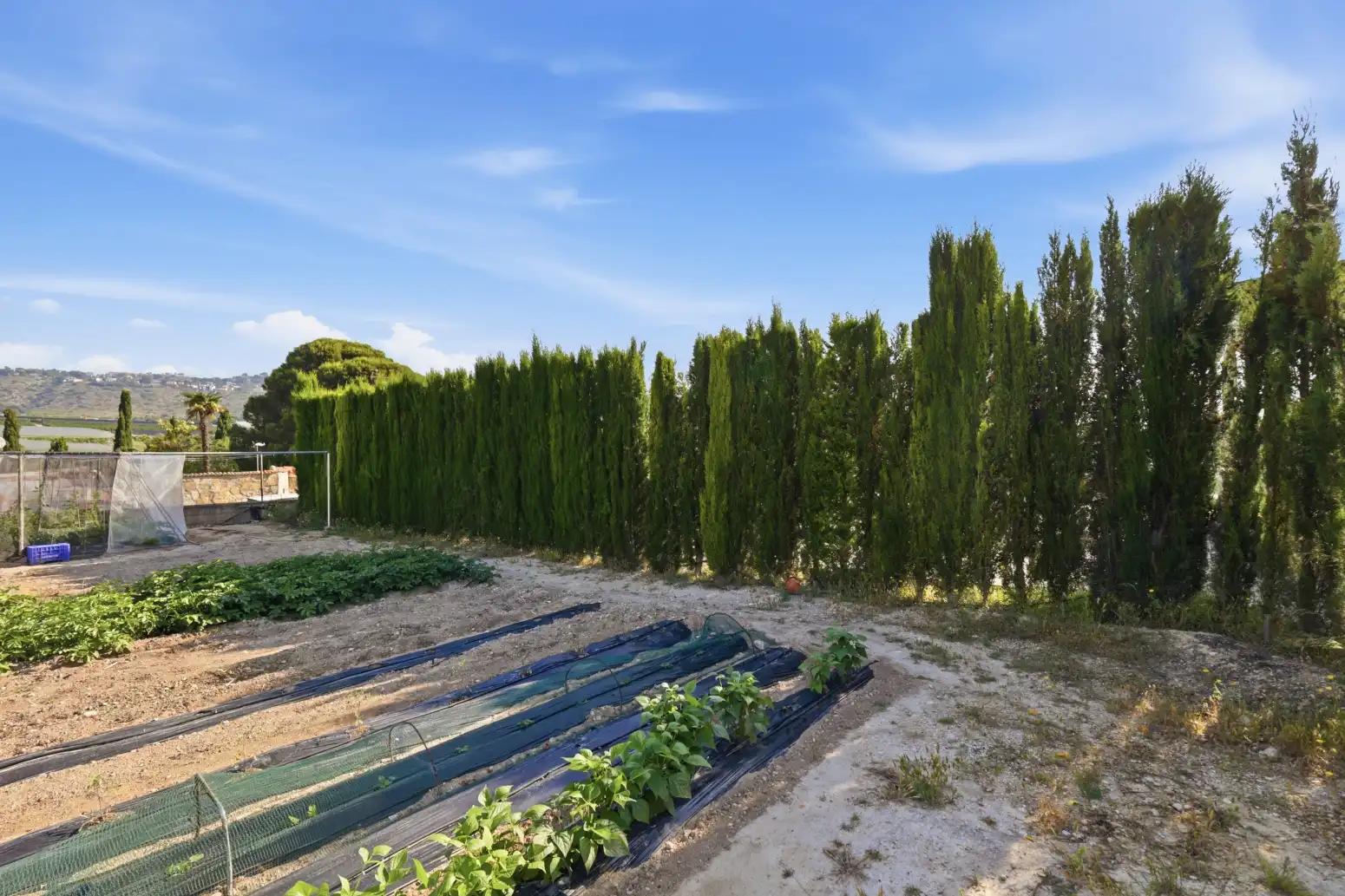 Casa o xalet en venda a Font de la Teula - Mas de Pavia