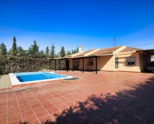 Vista exterior de Casa o xalet en venda en Palomares del Río amb Jardí privat, Piscina i Moblat