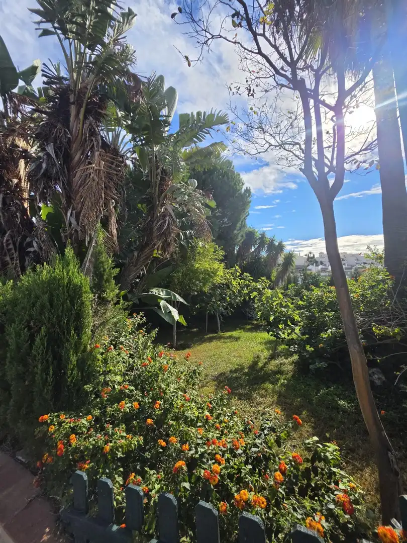 Jardín de Casa o chalet en venta en Casares